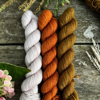 MERINO SockSet 3 x 50 g | Mooslicht